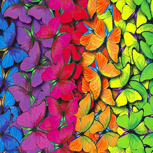 Rainbow Butterfly