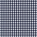 Gingham Navy 1/8″