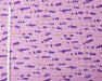Fabric with lavender pattern on a purple background