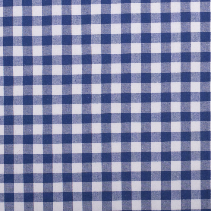 Gingham Blue 1/4” Checks