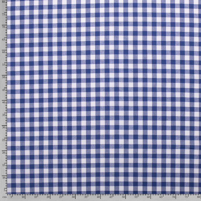 Gingham Blue 1/4” Checks